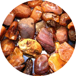 العنبر الجاف