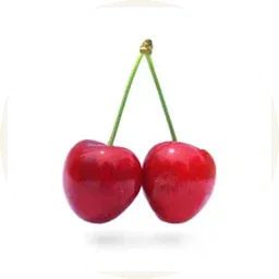 الكرز