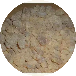 اللبان