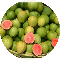 الجوافة